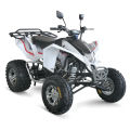 boguet de plage ATV 300cc racing